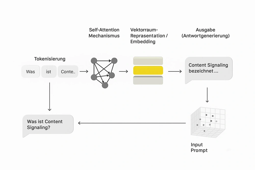 Ein Schaubild wie LLMs Texte verstehen. Eingabe - Aufsplittung - Kontexabhängiger Vergleich - Ausgabe